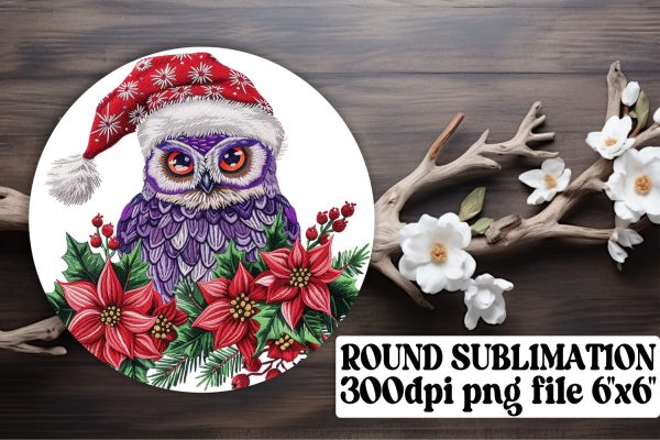 Festive Owl Round Design Embroidered Online Hot Sale