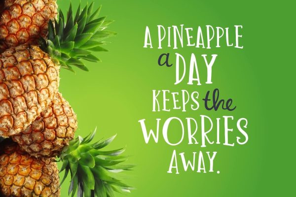 One in a Melon Font Sale - Image 2