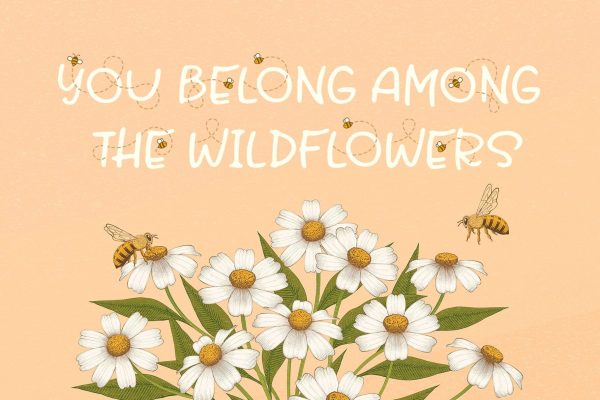 Honey and Bee Font For Sale - Image 3