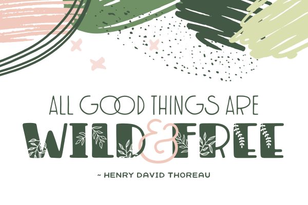 Flora & Francie Font Duo For Discount - Image 5