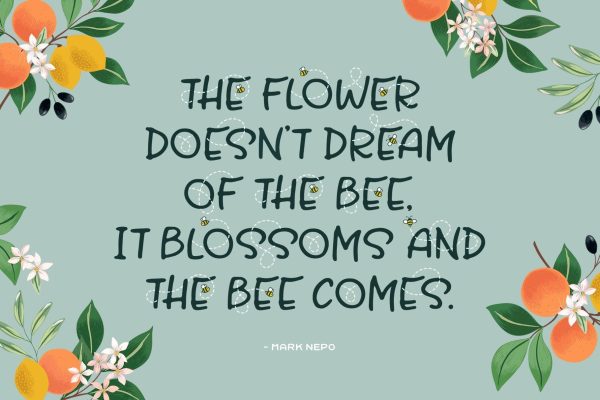 Honey and Bee Font For Sale - Image 2