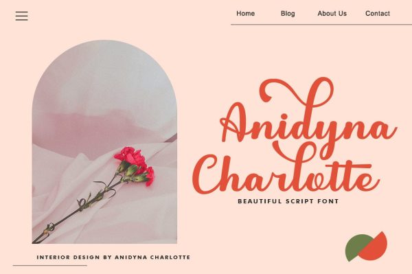 Angoline For Discount - Image 2