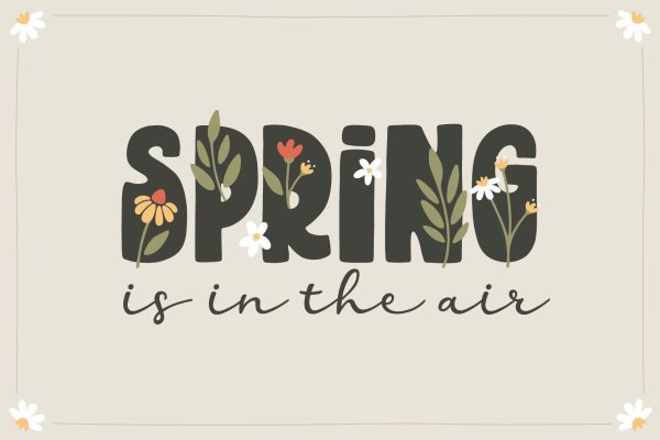 Balmy Morning Font Duo For Cheap - Image 2