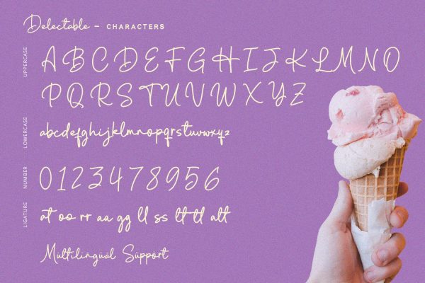 Delectable - Handwritten Font For Discount - Image 5