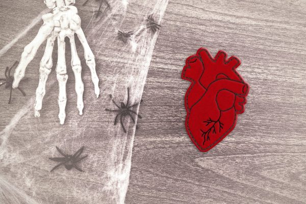 Anatomical Heart Feltie Applique Embroidery Online Hot Sale