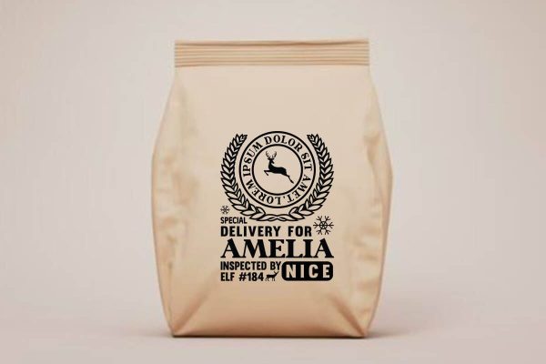 anta express north pole special delivery for Amelia inspected by elf 184 nice Online now
