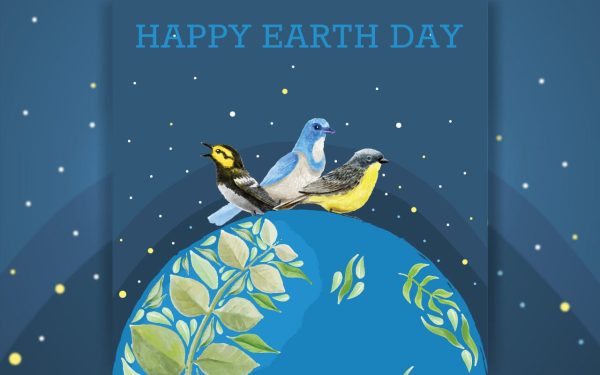 Save Earth Day on April 22. Happy Earth Day! Celebrate World Wildlife Day on March 3 and the animals in the forest. Online
